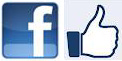 facebook like button